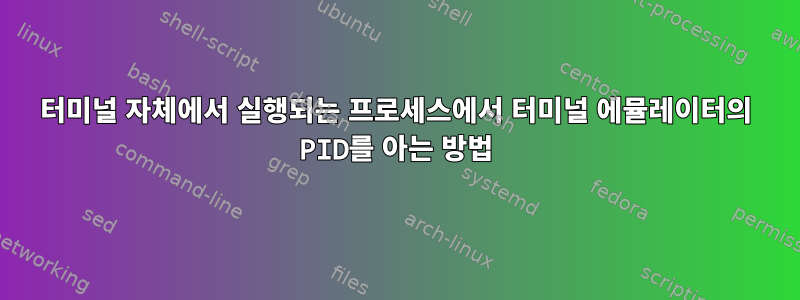 터미널 자체에서 실행되는 프로세스에서 터미널 에뮬레이터의 PID를 아는 방법