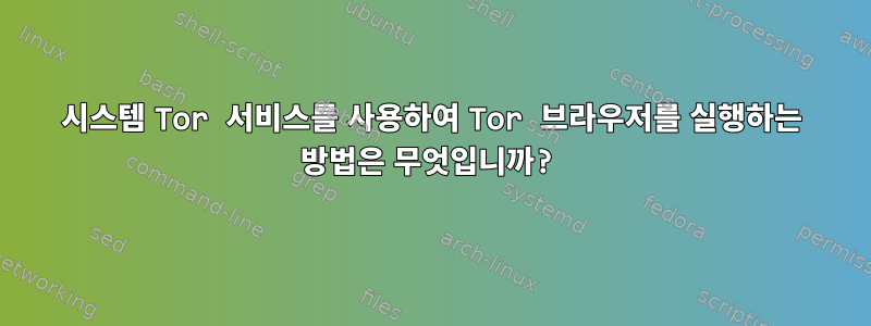 시스템 Tor 서비스를 사용하여 Tor 브라우저를 실행하는 방법은 무엇입니까?