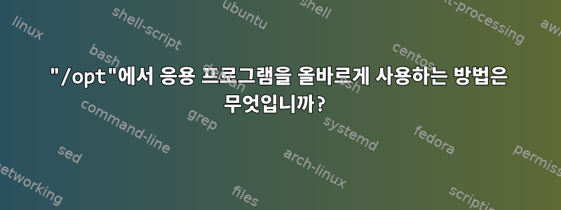 "/opt"에서 응용 프로그램을 올바르게 사용하는 방법은 무엇입니까?