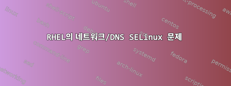 RHEL의 네트워크/DNS SELinux 문제