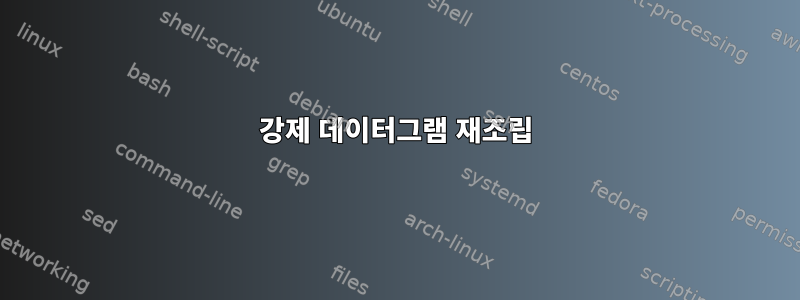 강제 데이터그램 재조립