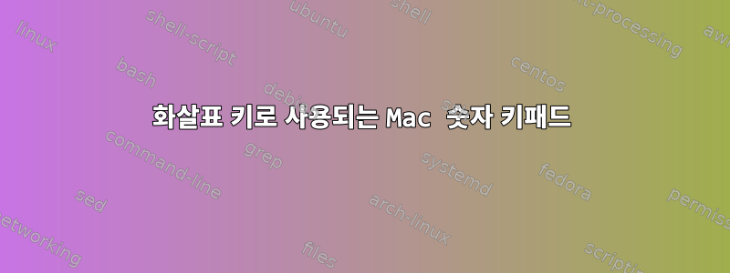 화살표 키로 사용되는 Mac 숫자 키패드