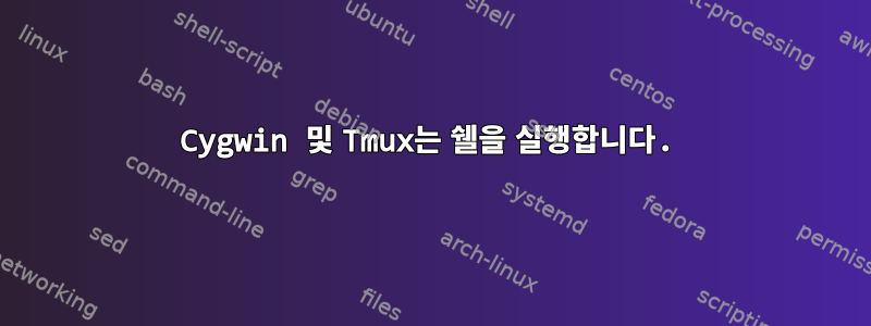 Cygwin 및 Tmux는 쉘을 실행합니다.