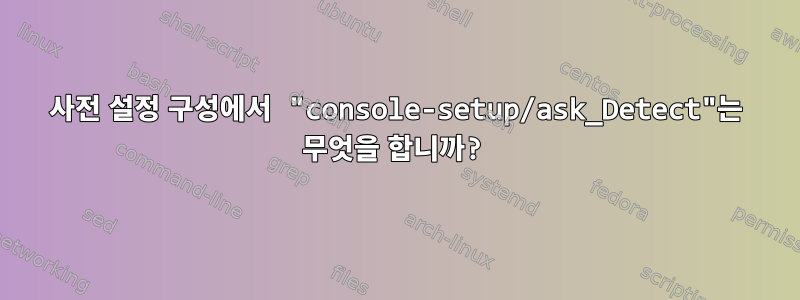 사전 설정 구성에서 "console-setup/ask_Detect"는 무엇을 합니까?