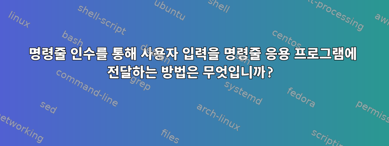 명령줄 인수를 통해 사용자 입력을 명령줄 응용 프로그램에 전달하는 방법은 무엇입니까?