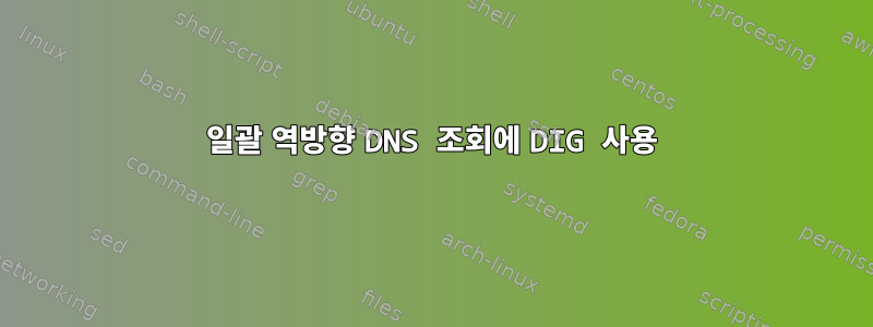 일괄 역방향 DNS 조회에 DIG 사용