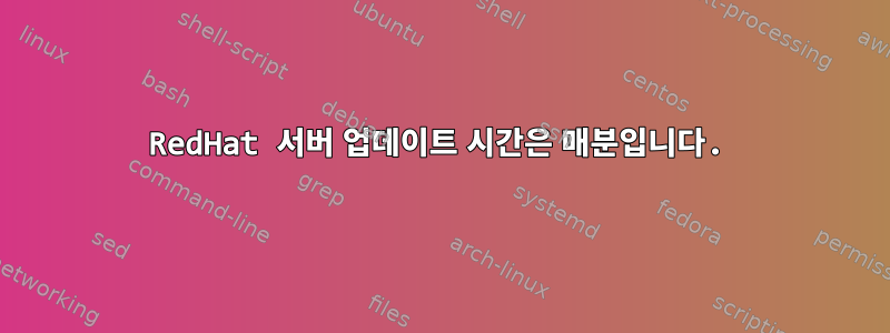 RedHat 서버 업데이트 시간은 매분입니다.