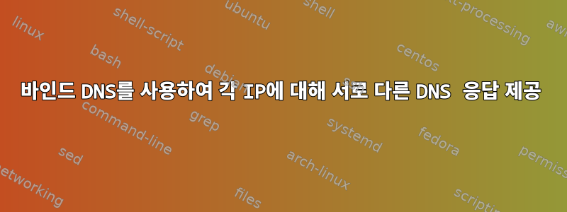 바인드 DNS를 사용하여 각 IP에 대해 서로 다른 DNS 응답 제공