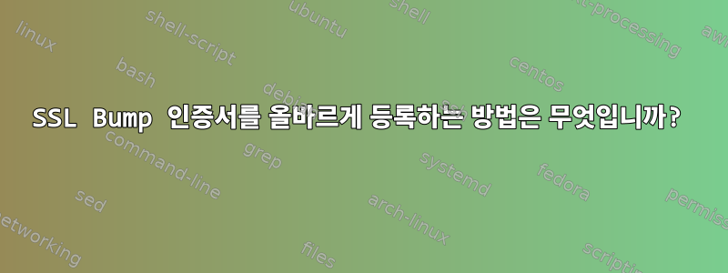 SSL Bump 인증서를 올바르게 등록하는 방법은 무엇입니까?