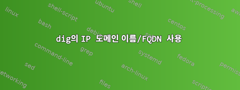 dig의 IP 도메인 이름/FQDN 사용