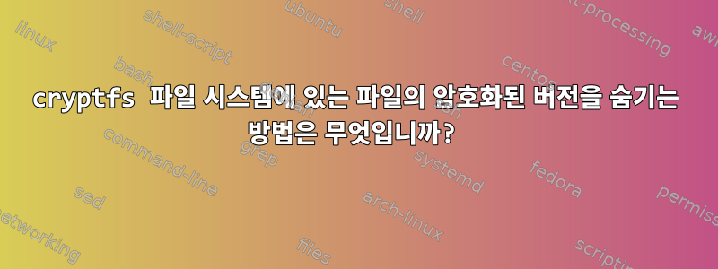 cryptfs 파일 시스템에 있는 파일의 암호화된 버전을 숨기는 방법은 무엇입니까?