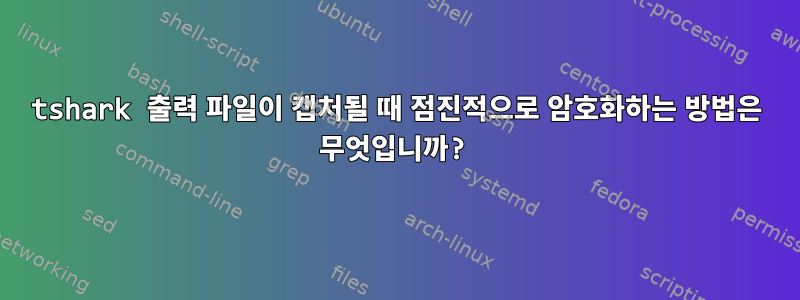 tshark 출력 파일이 캡처될 때 점진적으로 암호화하는 방법은 무엇입니까?