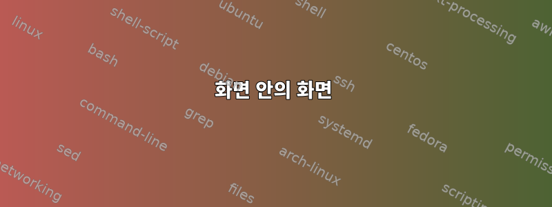 화면 안의 화면