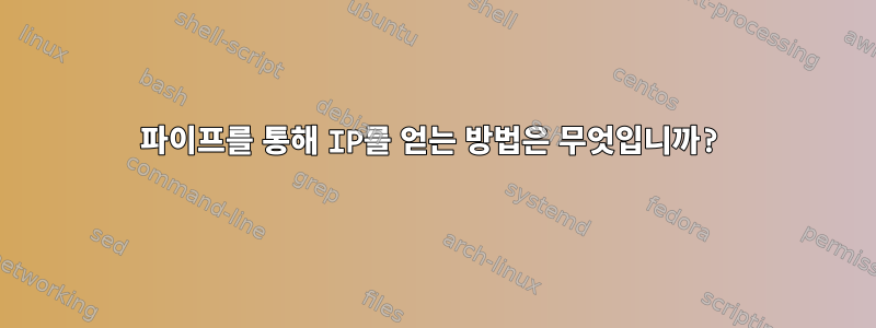 파이프를 통해 IP를 얻는 방법은 무엇입니까?