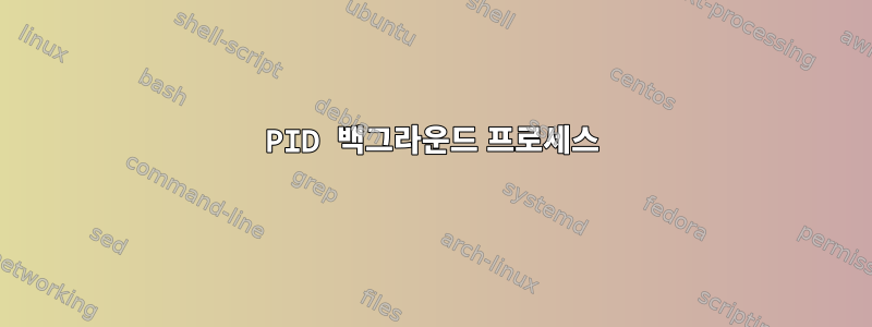 PID 백그라운드 프로세스