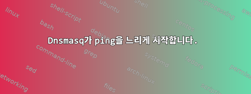 Dnsmasq가 ping을 느리게 시작합니다.