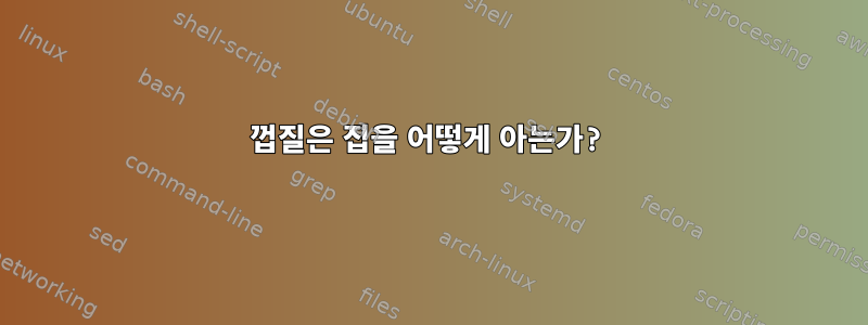 껍질은 집을 어떻게 아는가?