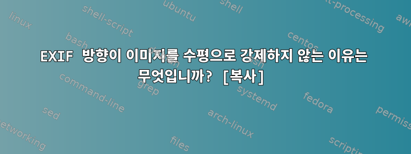 EXIF 방향이 이미지를 수평으로 강제하지 않는 이유는 무엇입니까? [복사]