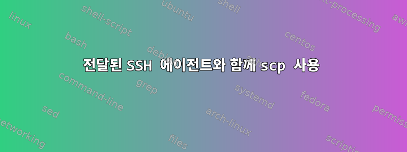 전달된 SSH 에이전트와 함께 scp 사용