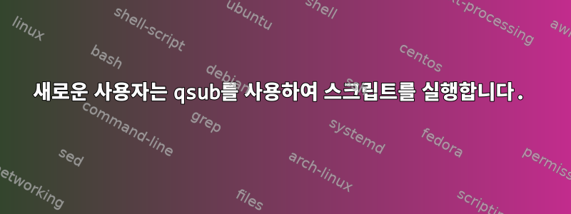 새로운 사용자는 qsub를 사용하여 스크립트를 실행합니다.