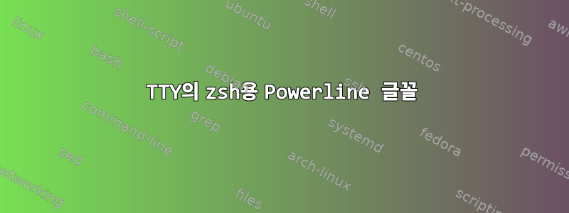 TTY의 zsh용 Powerline 글꼴