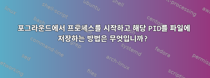 포그라운드에서 프로세스를 시작하고 해당 PID를 파일에 저장하는 방법은 무엇입니까?